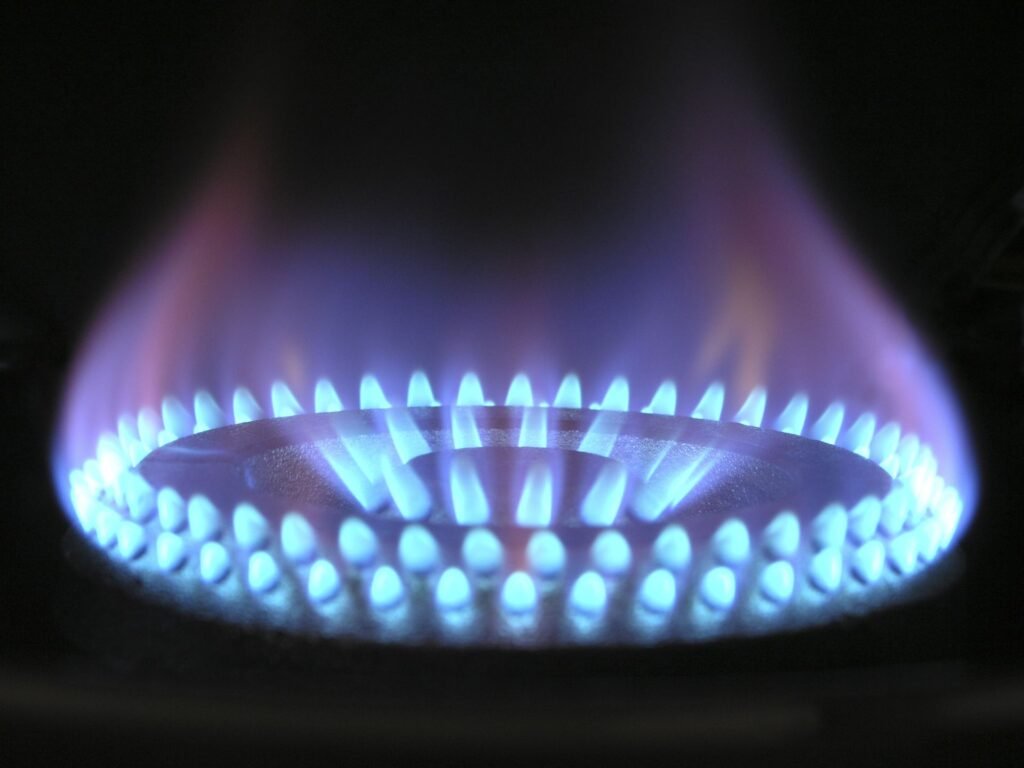 A ring of blue gas flame on a burner, the heat source that separates a gas dryer from an electric one