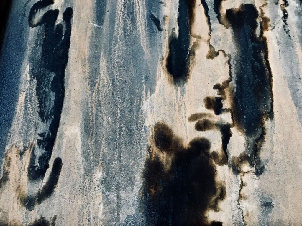 Black mildew staining spread across a damp surface, the same growth that appears as mold in a washing machine door seal