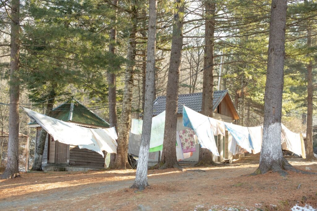 Sheets and blankets drying on washing lines strung between pine trees in front of two wooden cabins, the drying problem a portable washing machine for camping leaves you with